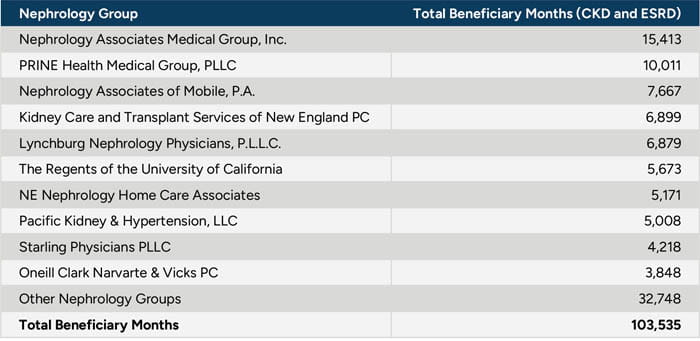 Top Nephrology Groups Participating in the KCF Performance Year 2022