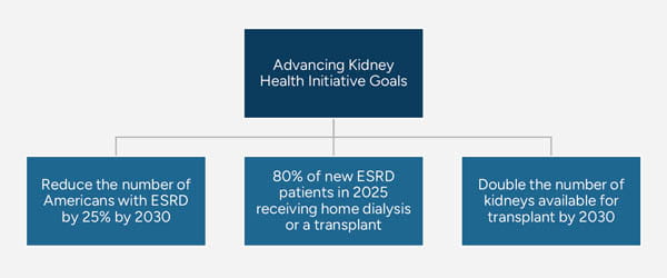 Advancing American Kidney Health Initiative Goals